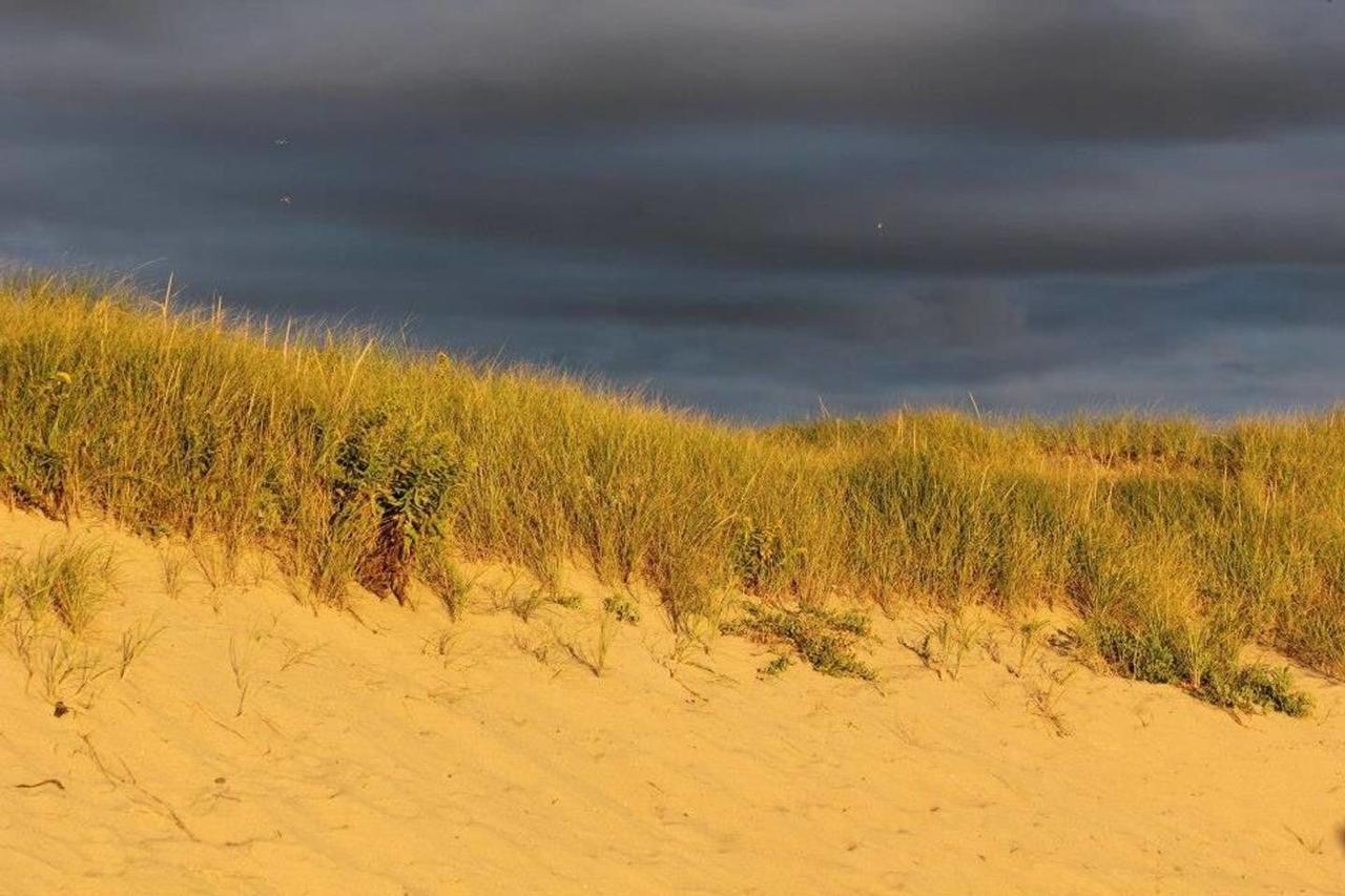 The Braemar Condominium North Truro Exteriér fotografie